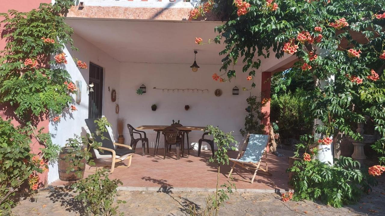 Ca Sunyer Appartement